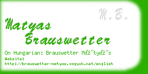 matyas brauswetter business card